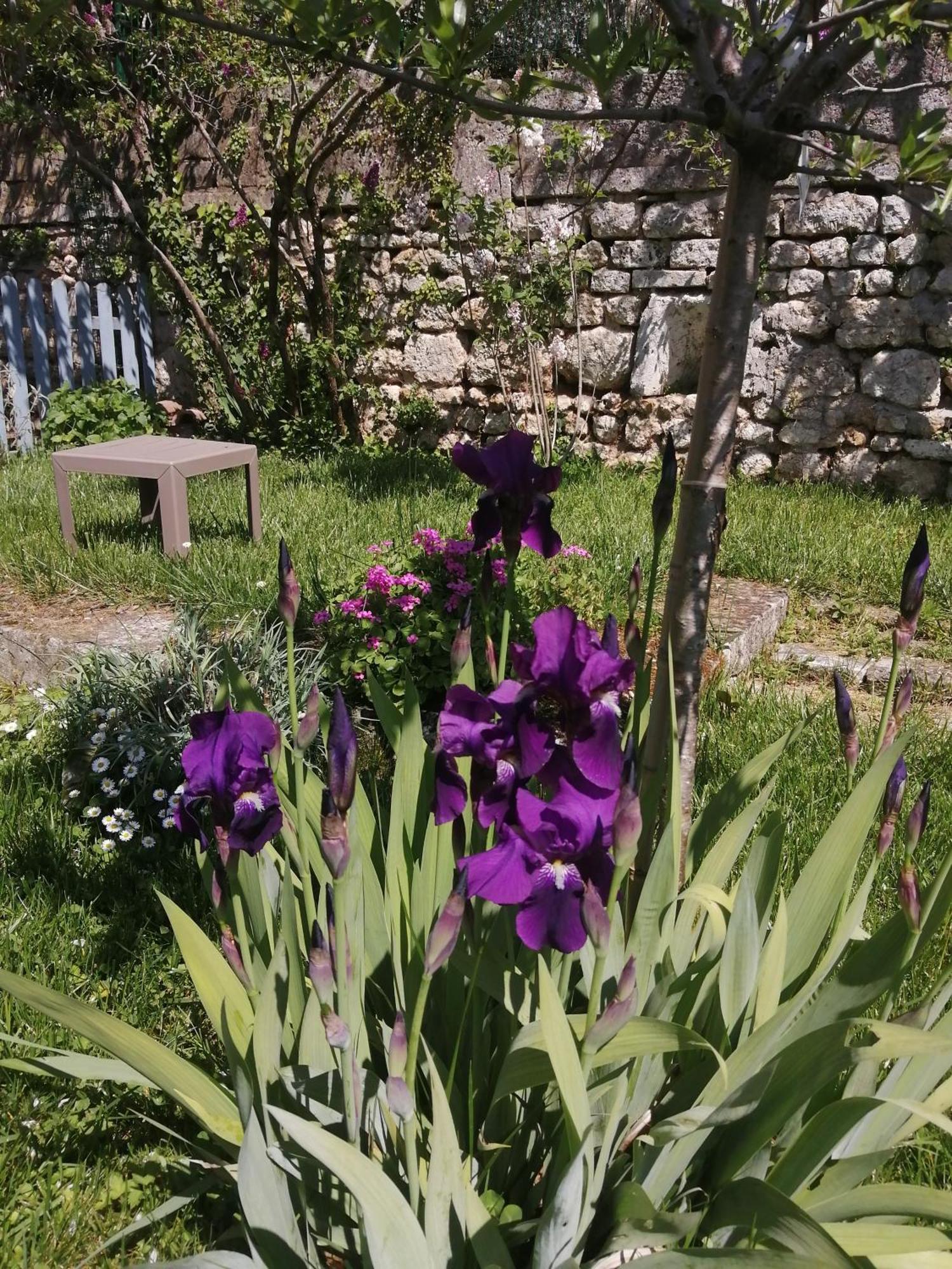 Au Logis De Vechillot Bed & Breakfast Angoulême Екстериор снимка